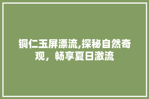 铜仁玉屏漂流,探秘自然奇观，畅享夏日激流