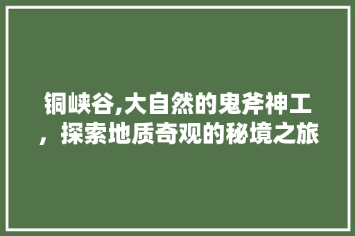 铜峡谷,大自然的鬼斧神工，探索地质奇观的秘境之旅