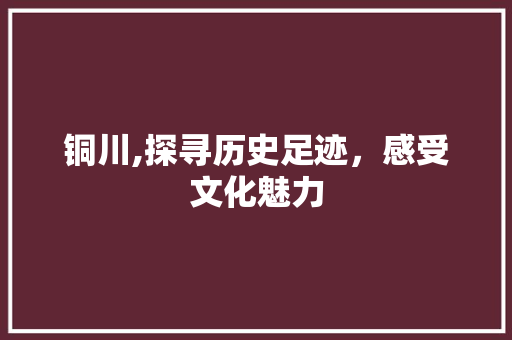 铜川,探寻历史足迹，感受文化魅力