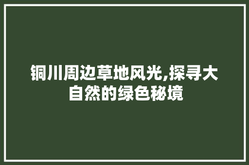 铜川周边草地风光,探寻大自然的绿色秘境