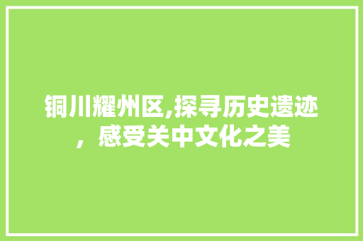 铜川耀州区,探寻历史遗迹，感受关中文化之美