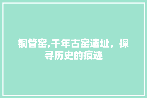 铜管窑,千年古窑遗址，探寻历史的痕迹