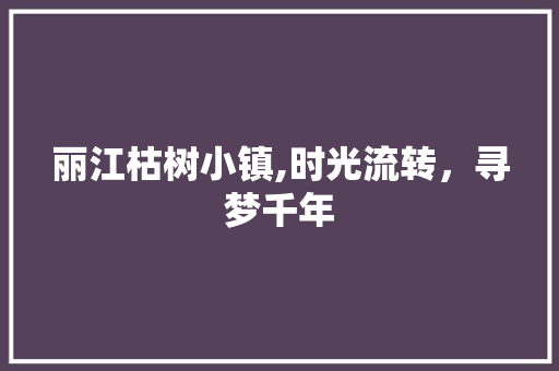 丽江枯树小镇,时光流转，寻梦千年