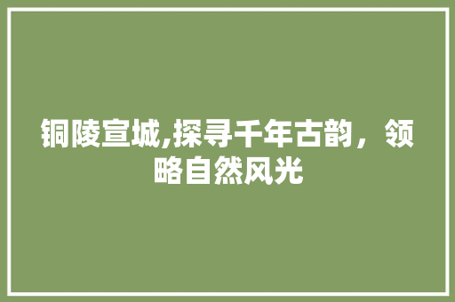 铜陵宣城,探寻千年古韵，领略自然风光