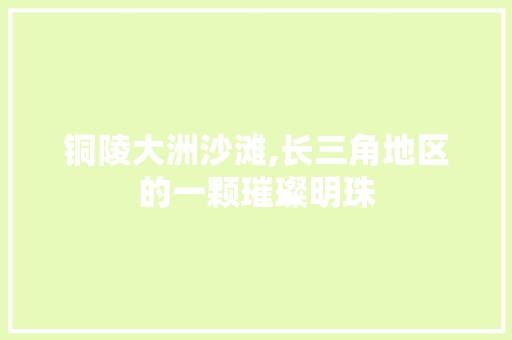 铜陵大洲沙滩,长三角地区的一颗璀璨明珠