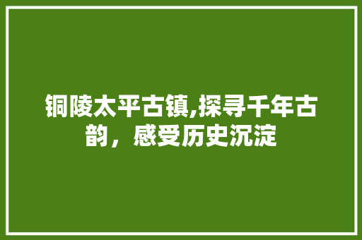 铜陵太平古镇,探寻千年古韵，感受历史沉淀