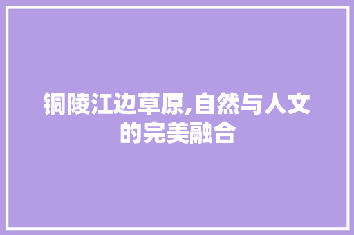 铜陵江边草原,自然与人文的完美融合