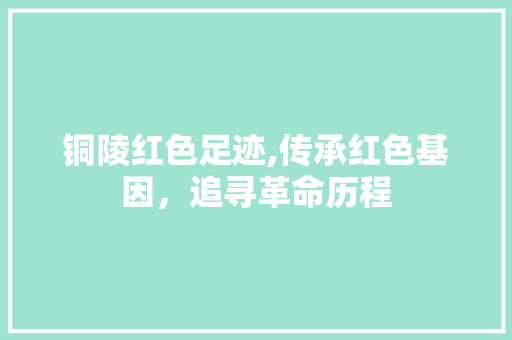 铜陵红色足迹,传承红色基因，追寻革命历程