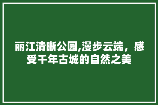 丽江清晰公园,漫步云端，感受千年古城的自然之美