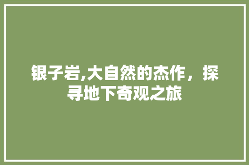 银子岩,大自然的杰作，探寻地下奇观之旅