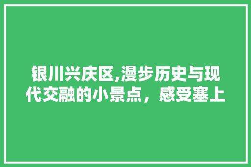 银川兴庆区,漫步历史与现代交融的小景点，感受塞上江南的独特韵味