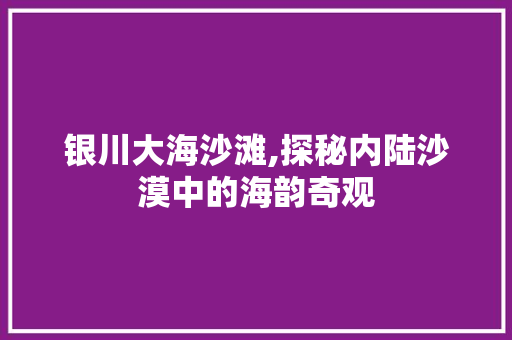 银川大海沙滩,探秘内陆沙漠中的海韵奇观