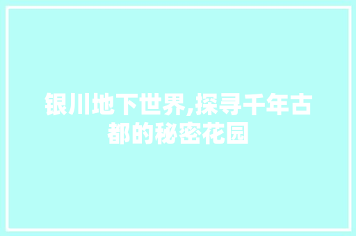 银川地下世界,探寻千年古都的秘密花园