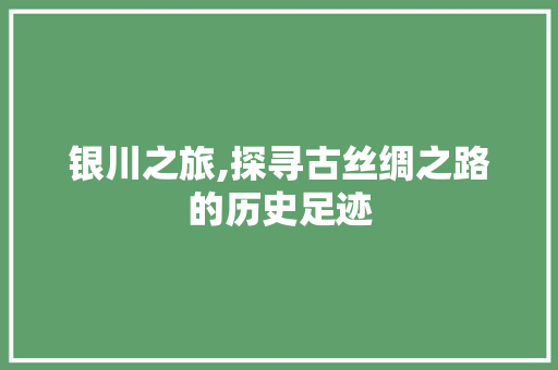 银川之旅,探寻古丝绸之路的历史足迹