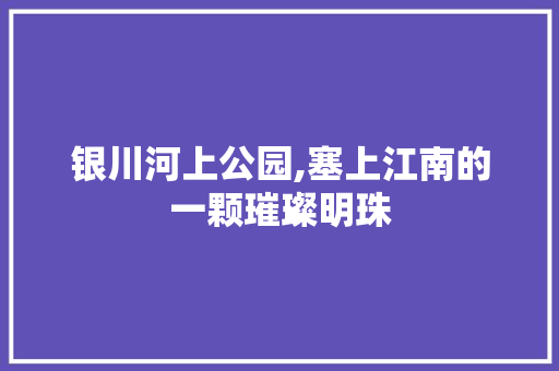 银川河上公园,塞上江南的一颗璀璨明珠  第1张