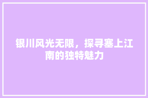 银川风光无限，探寻塞上江南的独特魅力