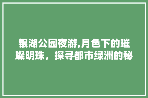 银湖公园夜游,月色下的璀璨明珠，探寻都市绿洲的秘密