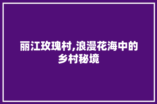 丽江玫瑰村,浪漫花海中的乡村秘境