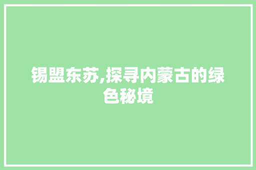 锡盟东苏,探寻内蒙古的绿色秘境