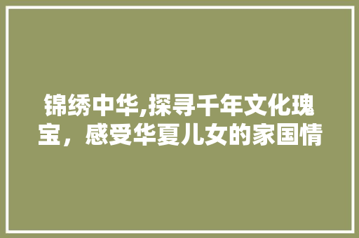 锦绣中华,探寻千年文化瑰宝，感受华夏儿女的家国情怀