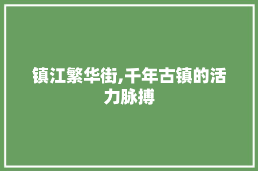 镇江繁华街,千年古镇的活力脉搏