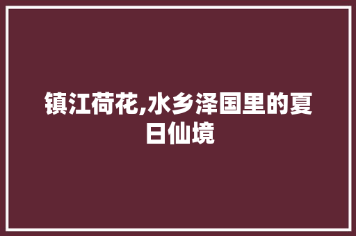 镇江荷花,水乡泽国里的夏日仙境