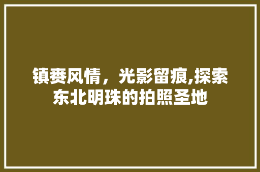 镇赉风情，光影留痕,探索东北明珠的拍照圣地