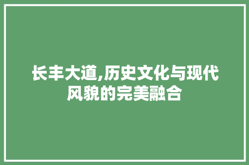 长丰大道,历史文化与现代风貌的完美融合