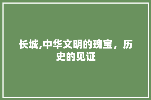 长城,中华文明的瑰宝，历史的见证