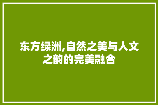 东方绿洲,自然之美与人文之韵的完美融合