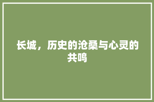 长城，历史的沧桑与心灵的共鸣