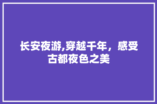 长安夜游,穿越千年，感受古都夜色之美