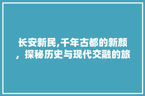 长安新民,千年古都的新颜，探秘历史与现代交融的旅游胜地