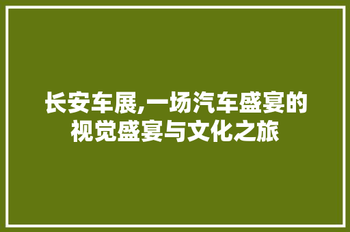 长安车展,一场汽车盛宴的视觉盛宴与文化之旅