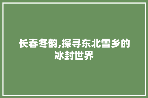 长春冬韵,探寻东北雪乡的冰封世界  第1张