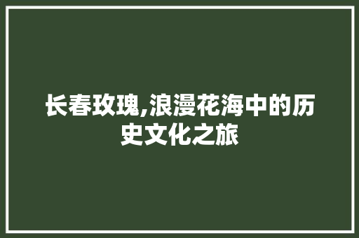 长春玫瑰,浪漫花海中的历史文化之旅