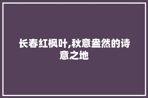 长春红枫叶,秋意盎然的诗意之地