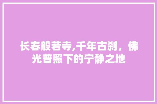 长春般若寺,千年古刹，佛光普照下的宁静之地