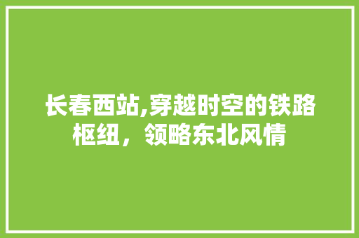 长春西站,穿越时空的铁路枢纽，领略东北风情