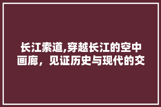 长江索道,穿越长江的空中画廊，见证历史与现代的交融