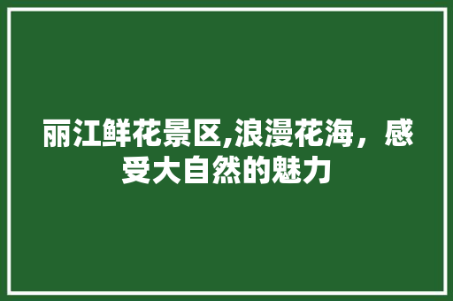 丽江鲜花景区,浪漫花海，感受大自然的魅力  第1张