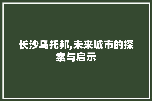 长沙乌托邦,未来城市的探索与启示