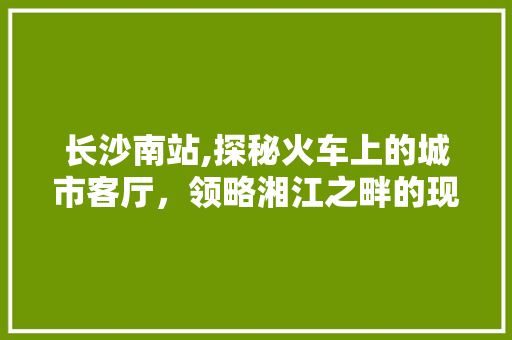 长沙南站,探秘火车上的城市客厅，领略湘江之畔的现代化风情