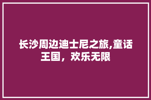 长沙周边迪士尼之旅,童话王国，欢乐无限