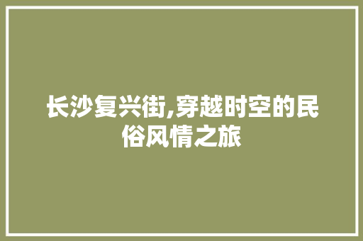 长沙复兴街,穿越时空的民俗风情之旅