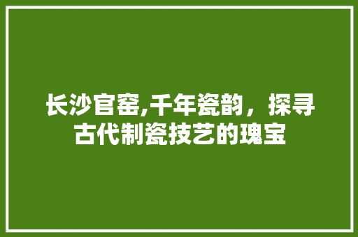 长沙官窑,千年瓷韵，探寻古代制瓷技艺的瑰宝