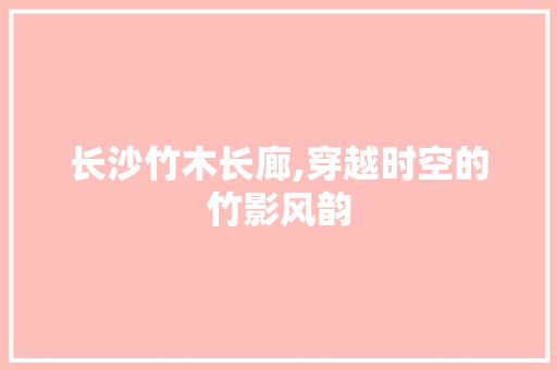 长沙竹木长廊,穿越时空的竹影风韵