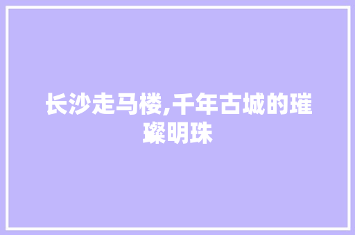 长沙走马楼,千年古城的璀璨明珠  第1张