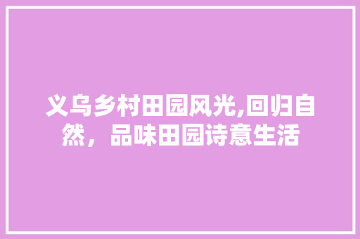 义乌乡村田园风光,回归自然，品味田园诗意生活