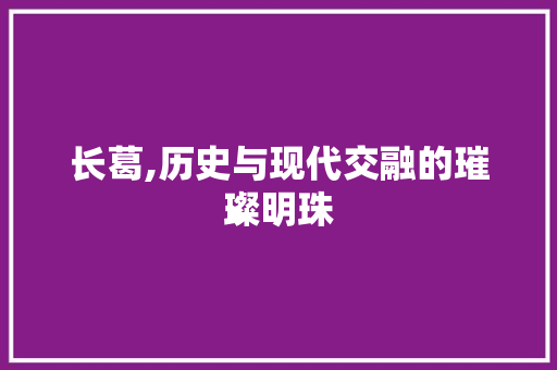 长葛,历史与现代交融的璀璨明珠